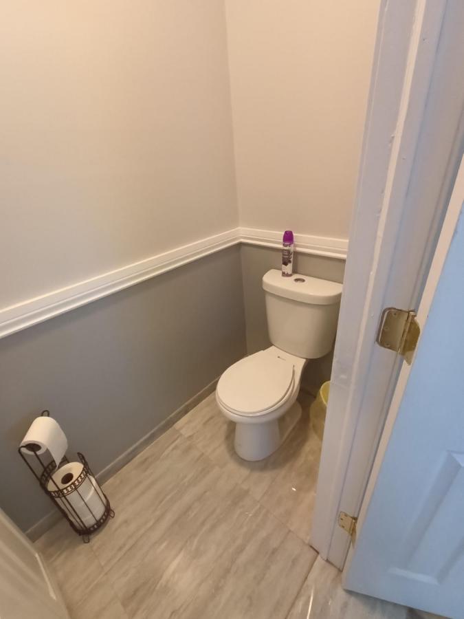 Cozy Updated 3-Br Apartment Near Peace Bridge Buffalo Kültér fotó